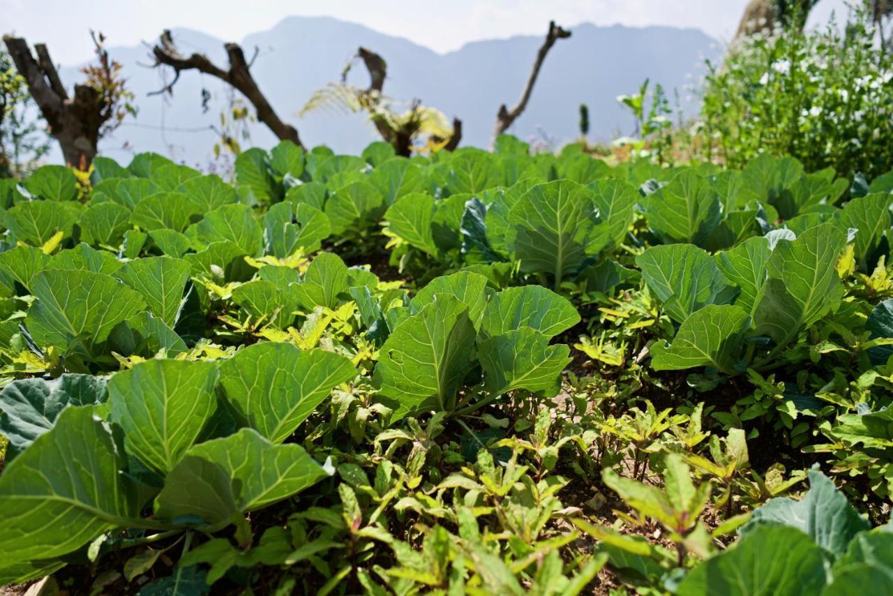 Annapurna Eco Village Похара Екстериор снимка